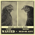 Bonnie & Clyde Wanted Poster Royalty Free Stock Photo